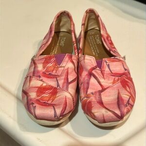 Pink Bird of Paradise Tom's